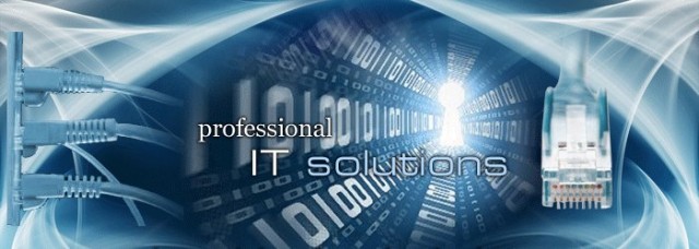 Professional IT solutions